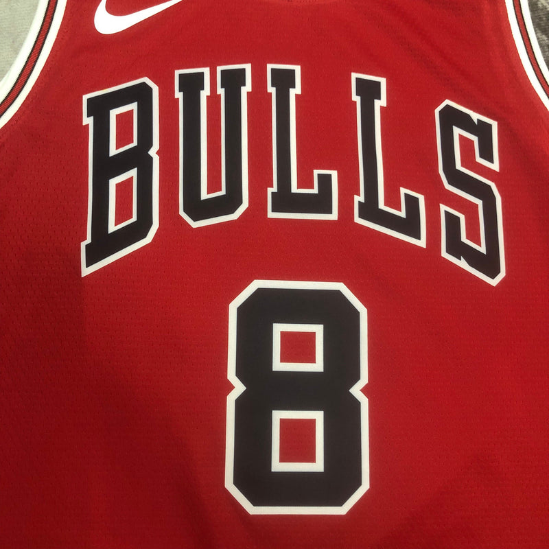 Débardeur rouge Zach LaVine des Chicago Bulls 23/24 Icon Edition